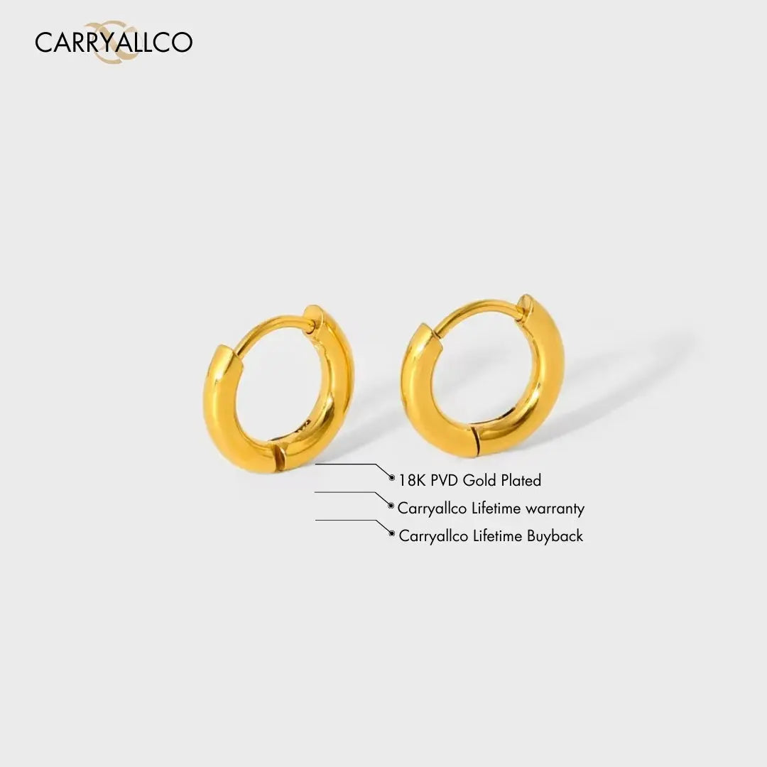 18K Gold Plated Double-Layer Hoop Earrings Anti-Tarnish – CARRYALLCO