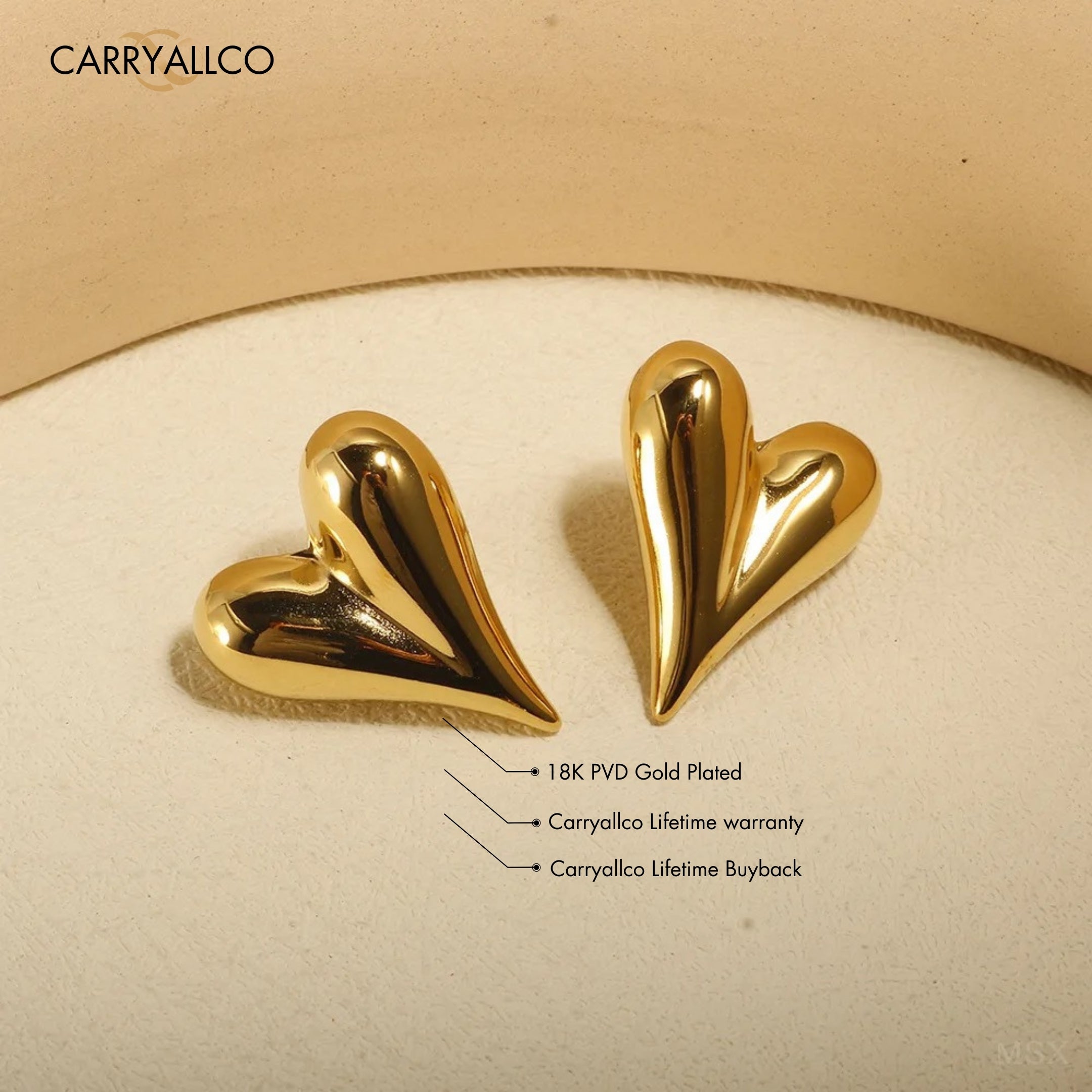 Carryallco Pure Love Heart Studs Carryallco