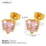 Pink Earrings