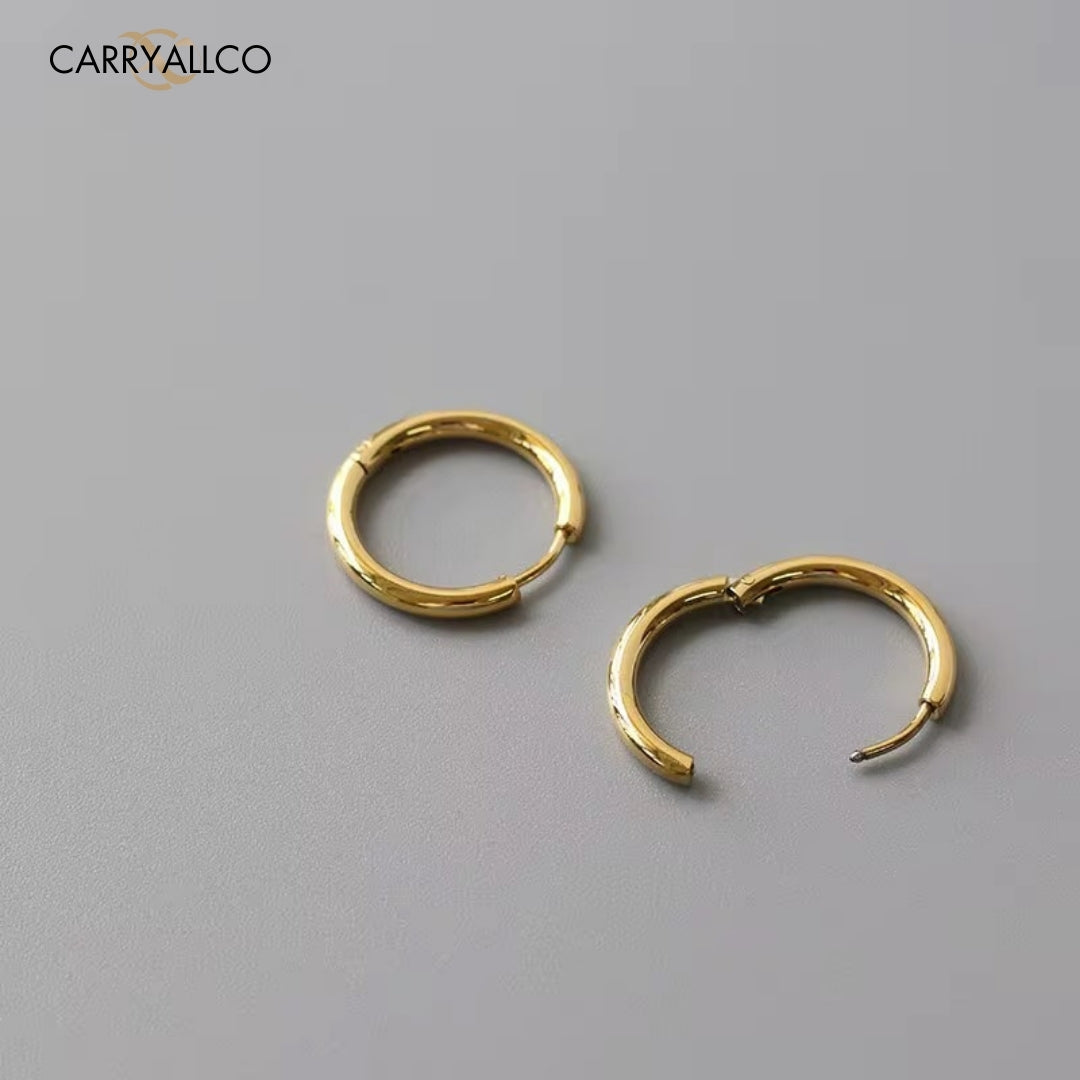 18K Gold Plated Solid Double-Layer Hoop Earrings Carryallco