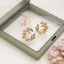 Gold floral earrings in a jewelry box with pink flowers on a white background