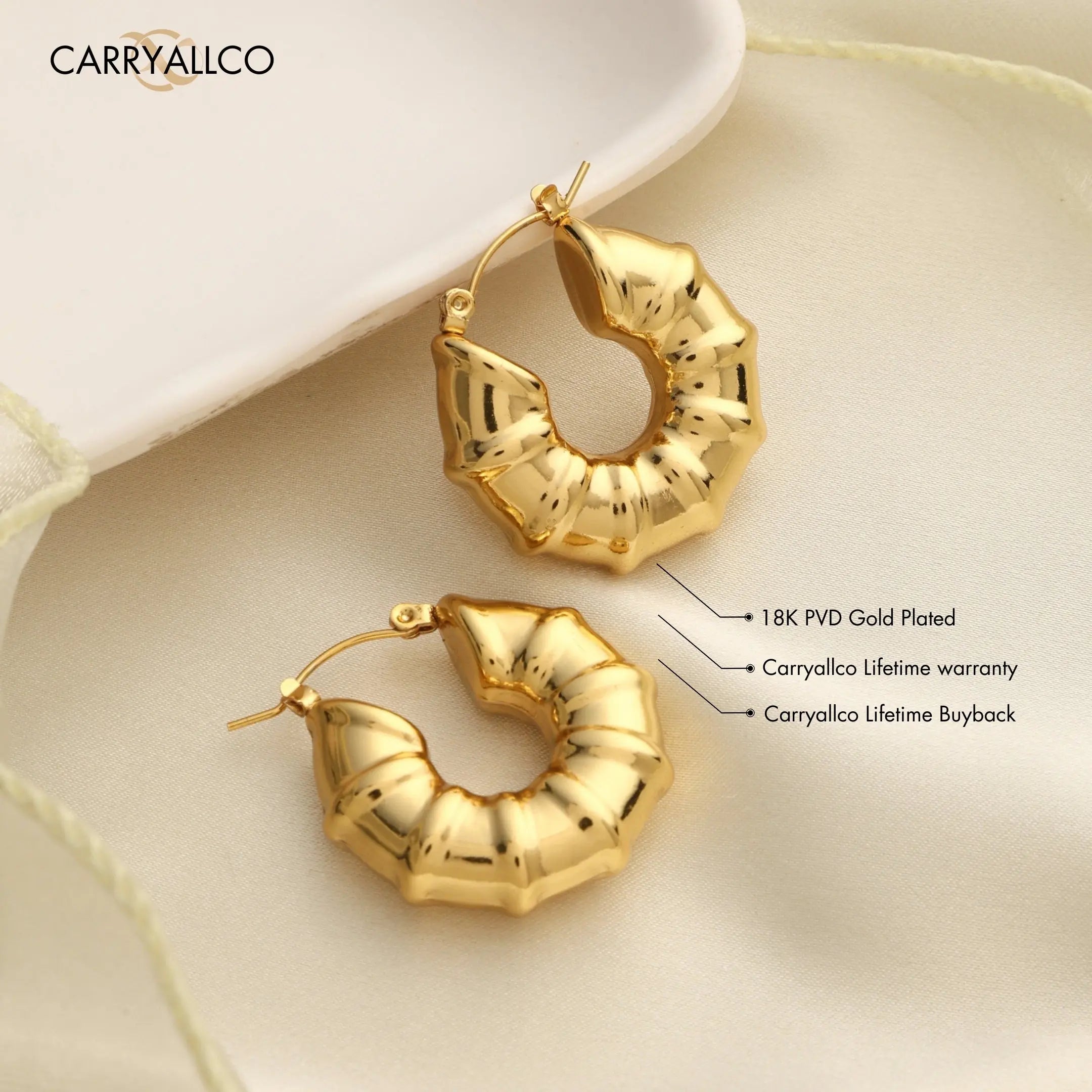 Gold hoop earrings with 'CARRYALLCO' branding on a beige background