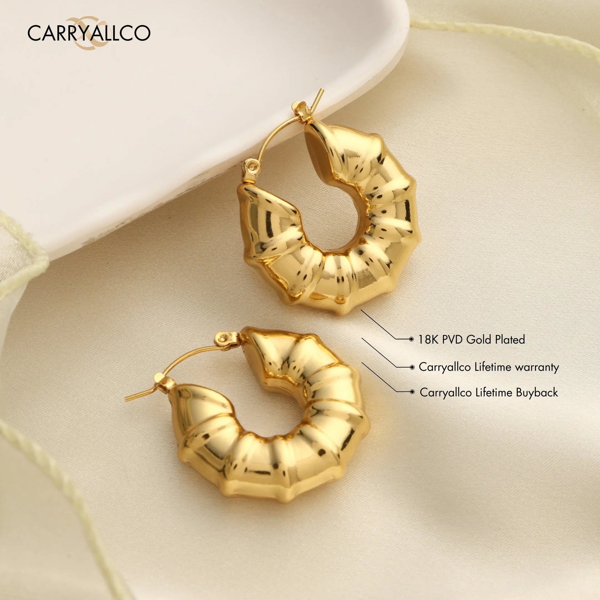 Golden Bamboo Hoop Earrings – 18K Gold Plated Jewellery | Carryallco India