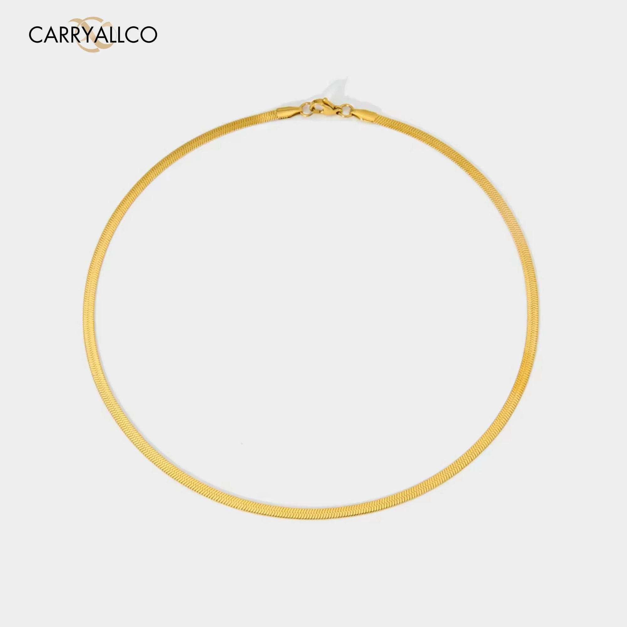 Carryallco 18K Gold Plated Demi-fine Snake Chain Necklace