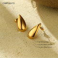 Carryallco Golden Dew Drop Earrings Carryallco
