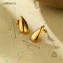 Carryallco Golden Dew Drop Earrings Carryallco