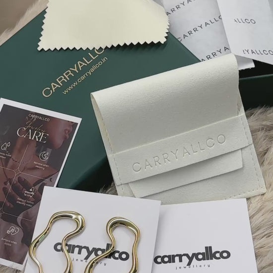 Carryallco Minimalist Hollow Curve Earrings-18K Gold Plated