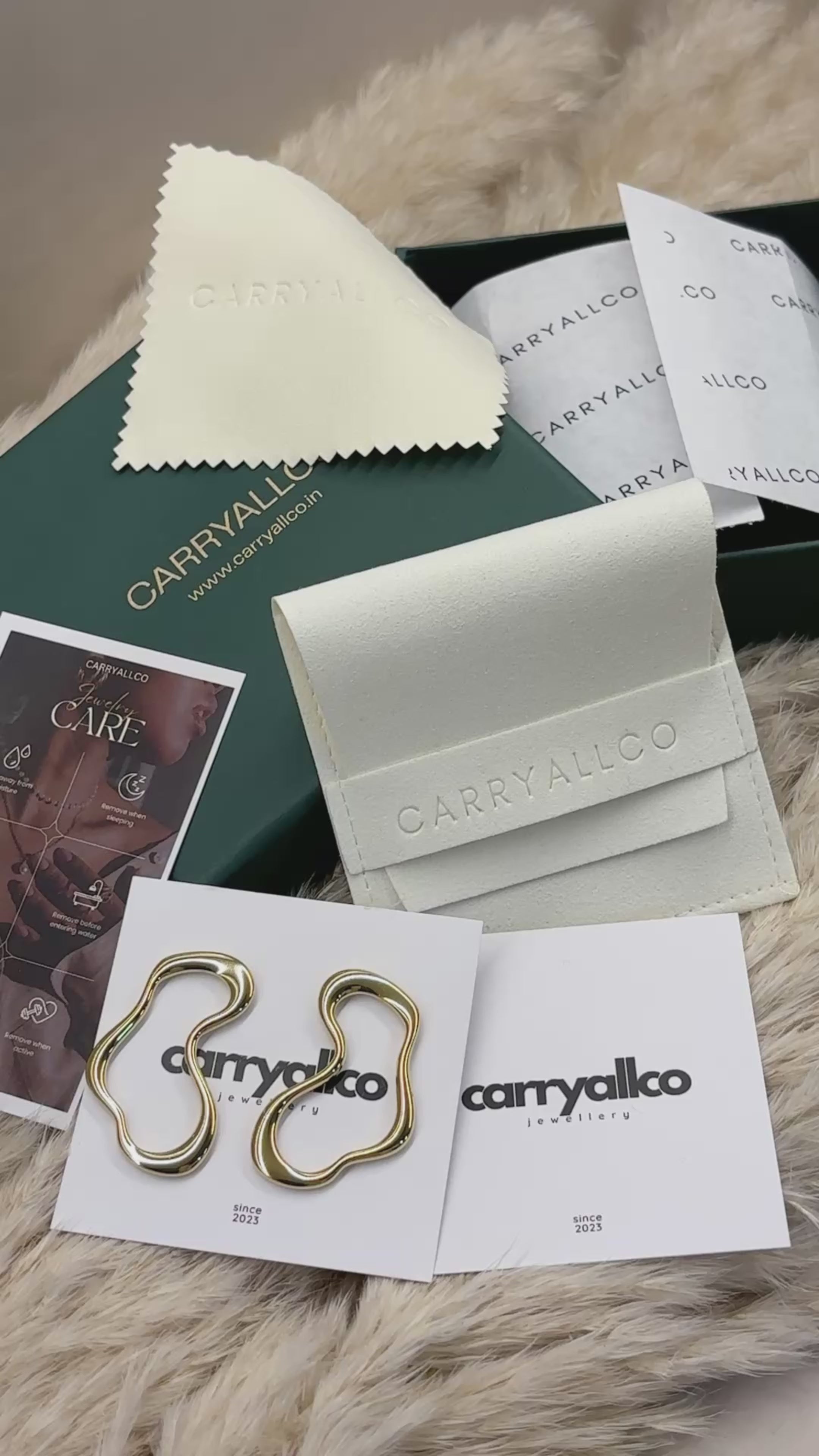 Carryallco Minimalist Hollow Curve Earrings-18K Gold Plated
